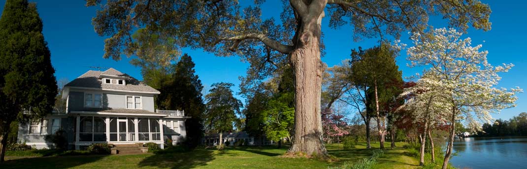 Hull Springs Farm, a 662-acre plantation, is a valuable resource for numerous environmental research projects.